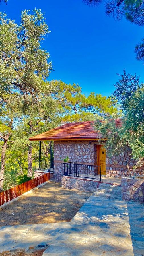 Candir Resort Restaurant Muğla Buitenkant foto